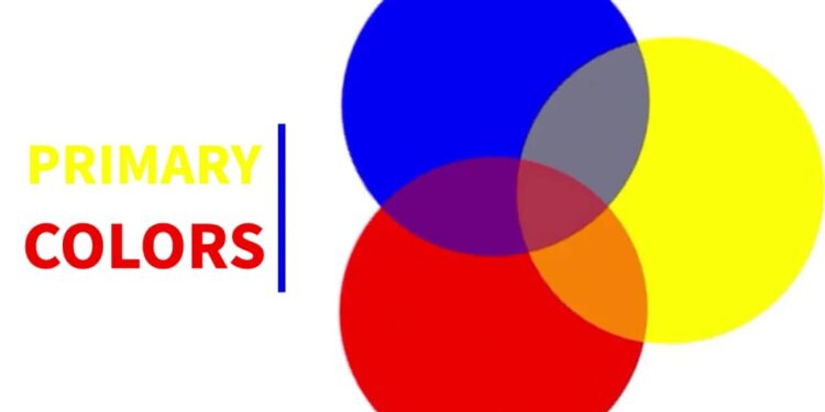 What Is Considered Primary Identification at Aiden Ligar blog